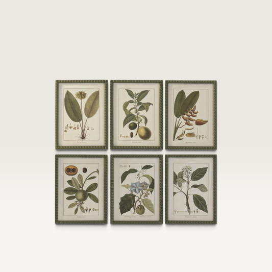 Set de seis cuadros botánicos Vintage Industrial con marco de madera de abeto y láminas de plantas sobre cristal
